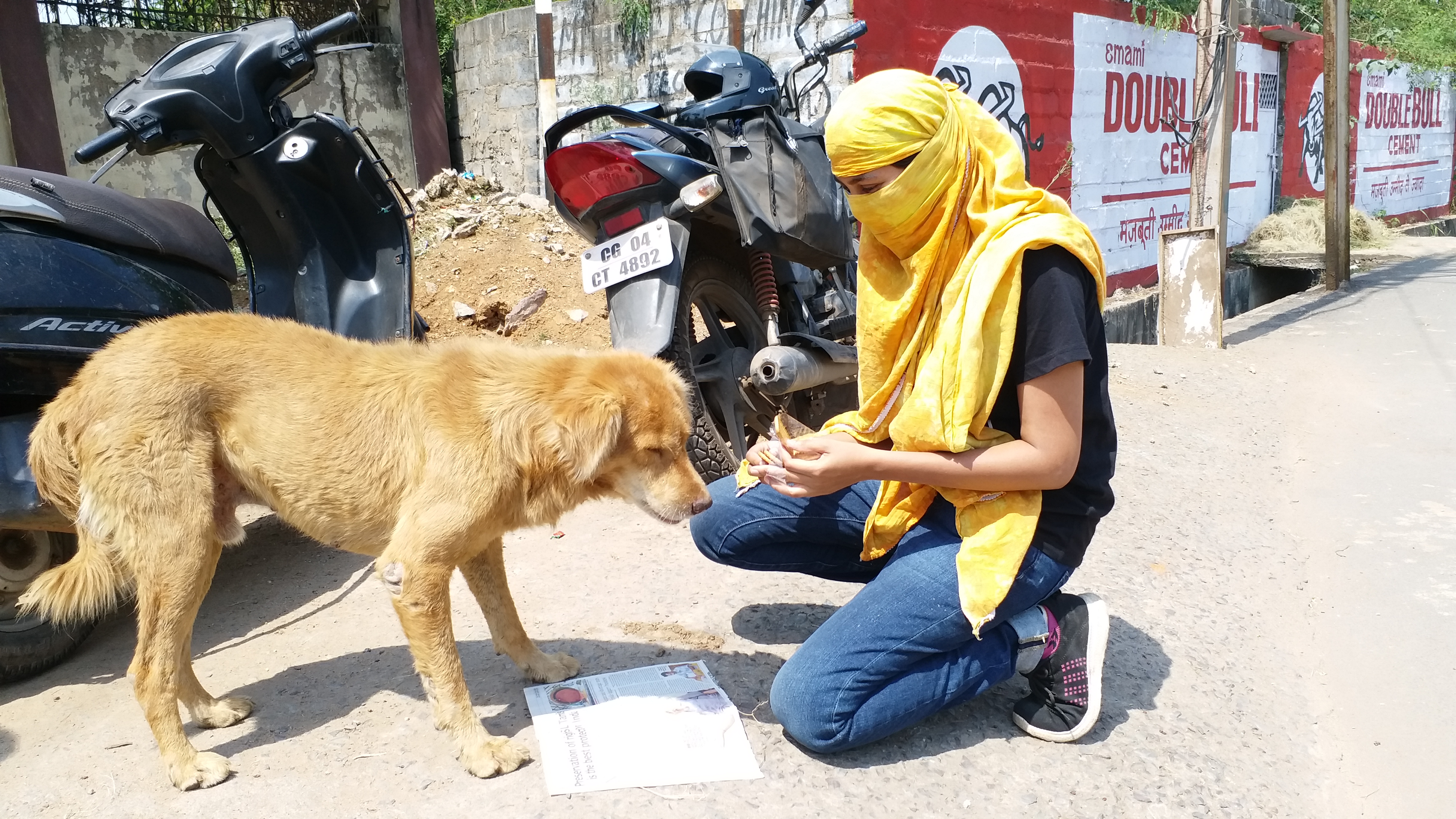 Private organization feeding food to street animals during lock down in raipur