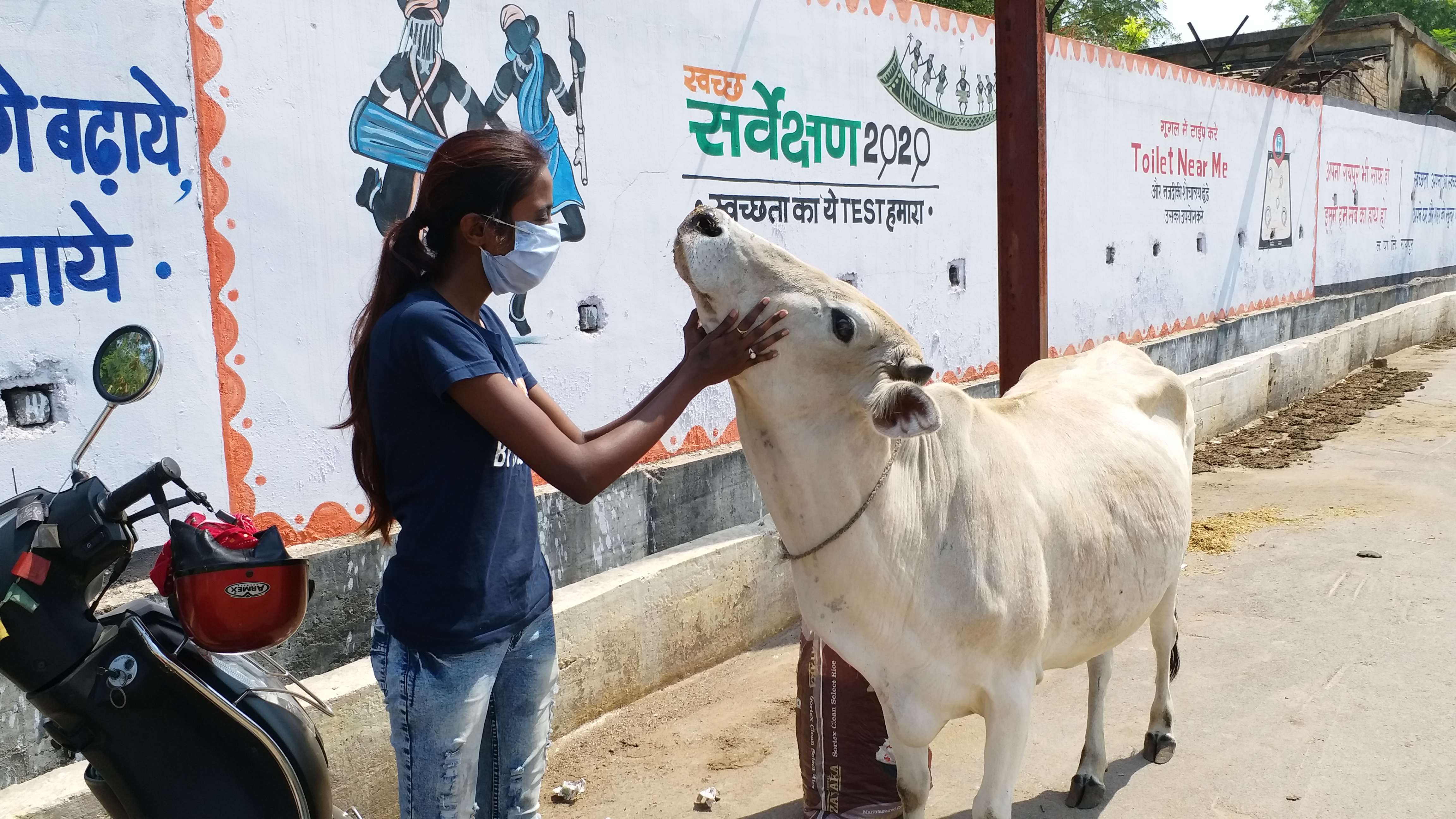 Private organization feeding food to street animals during lock down in raipur