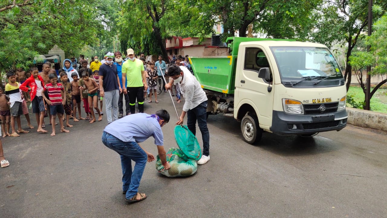 Stray dogs caught in raipur