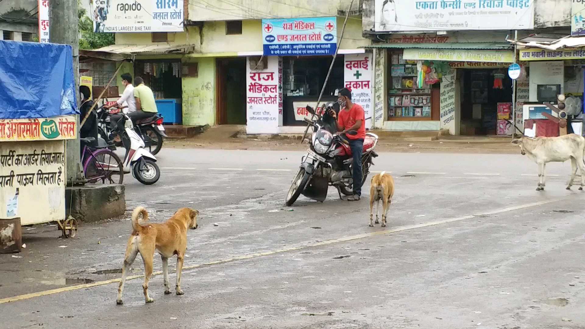 terror-of-stray-dogs-during-rainy-season-in-raipur