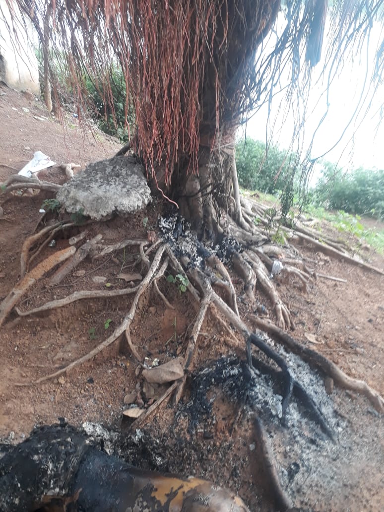 Found dead body hanging on banyan tree