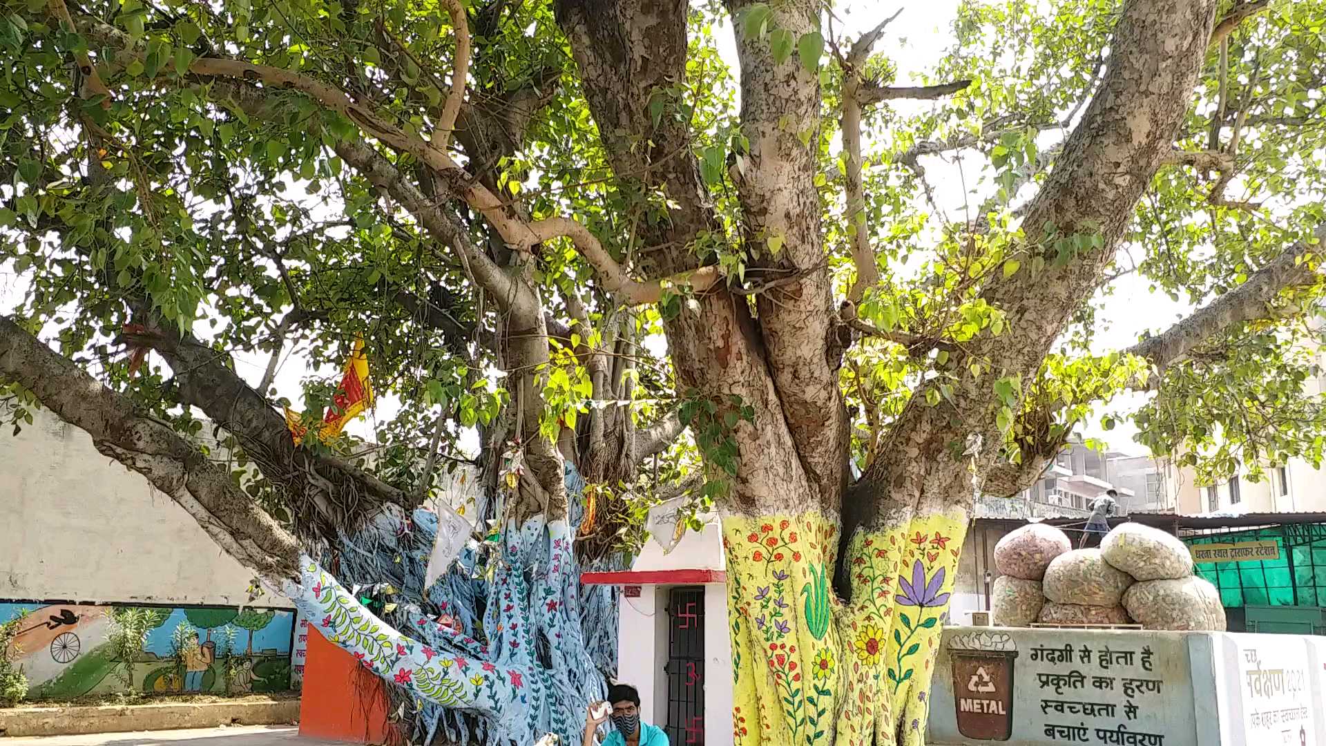 World Environment Day In Raipur green trees are being harmed by painting