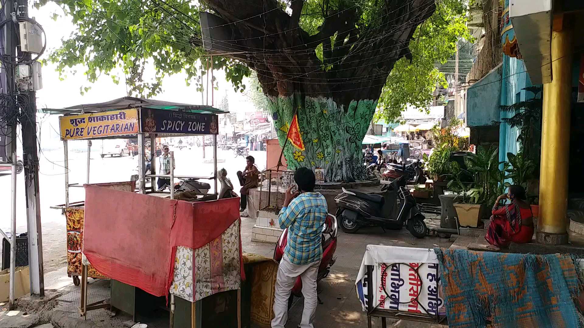 World Environment Day In Raipur green trees are being harmed by painting