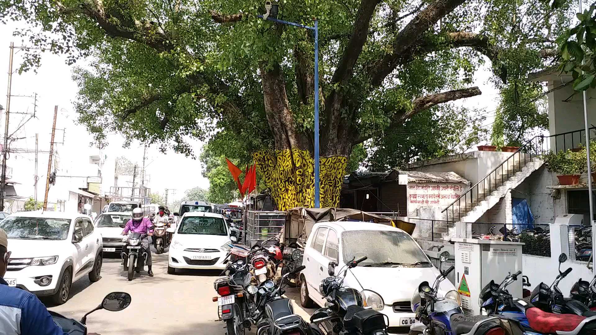 World Environment Day In Raipur green trees are being harmed by painting