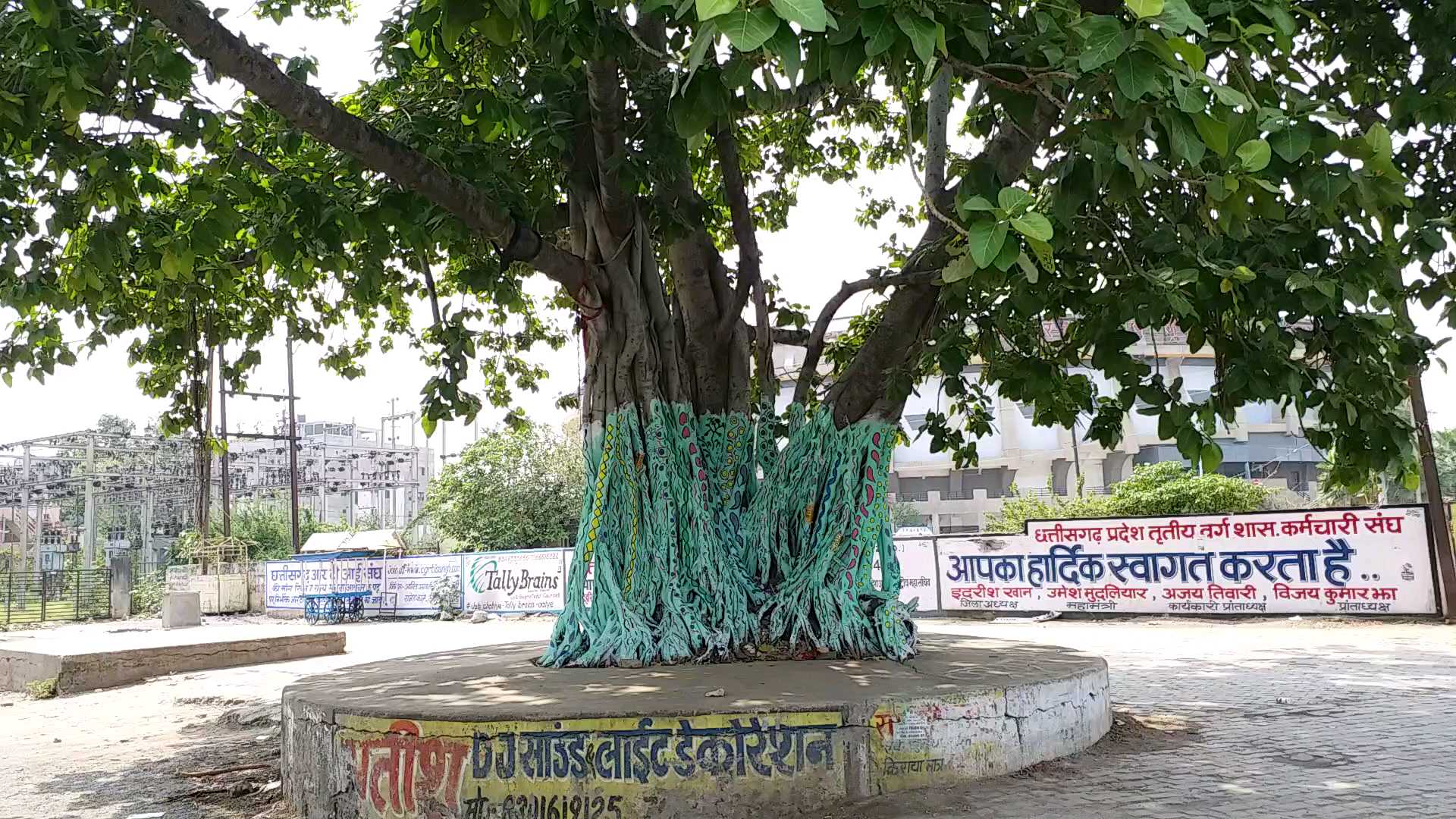 world-environment-day-in-raipur-green-trees-are-being-harmed-by-painting