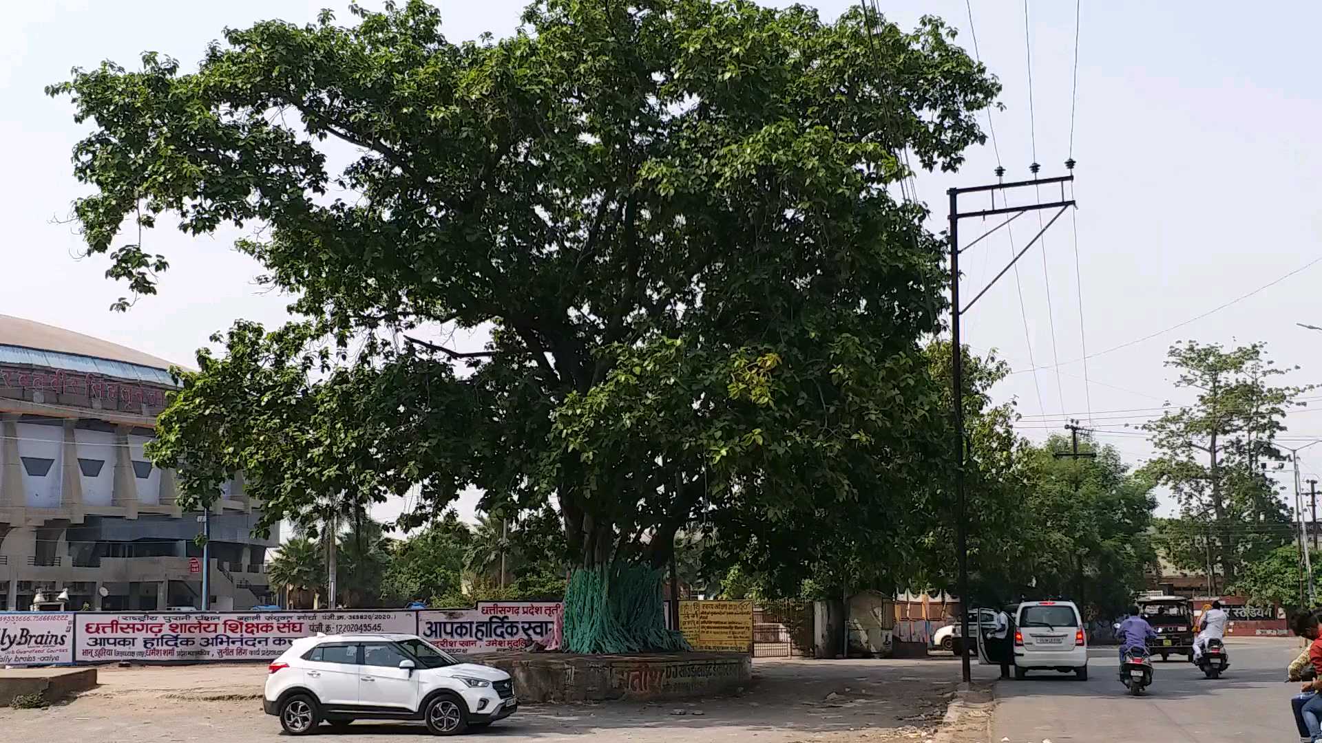 World Environment Day In Raipur green trees are being harmed by painting