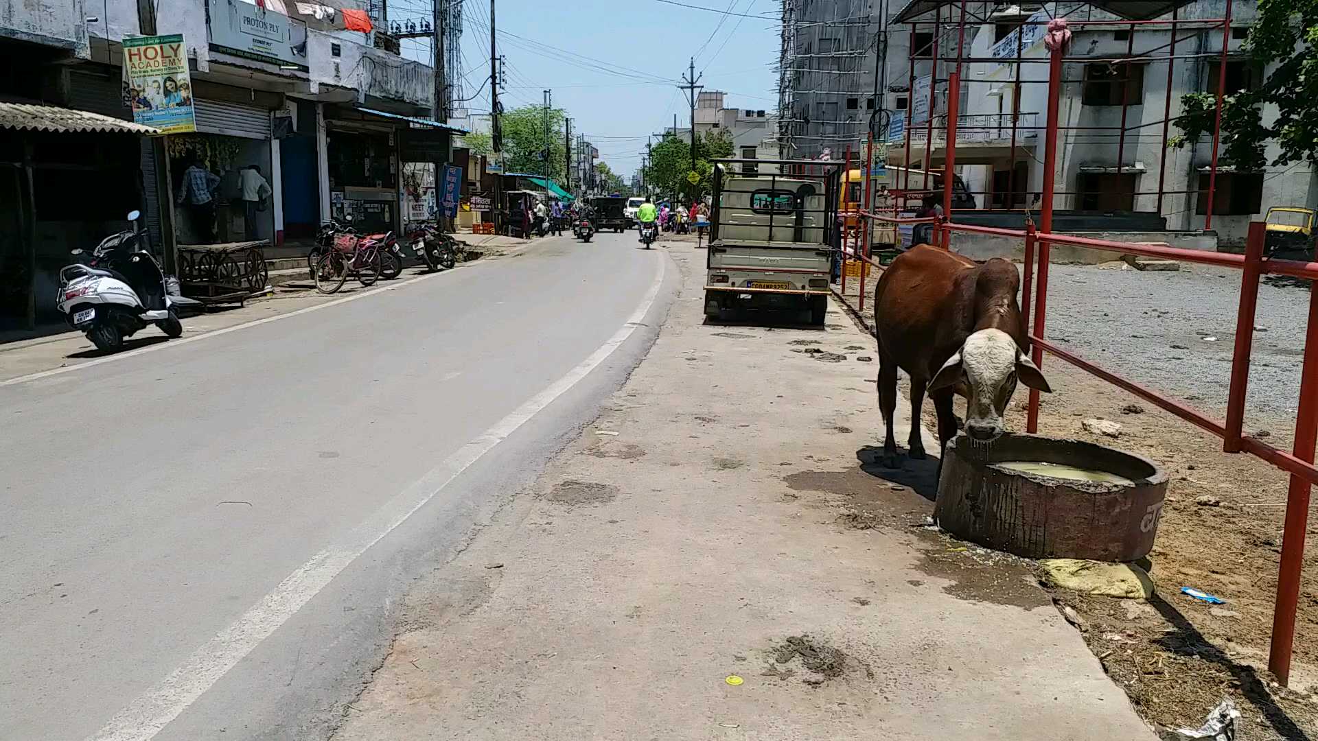 Road accidents occur due to stray and domesticated cattle in raipur