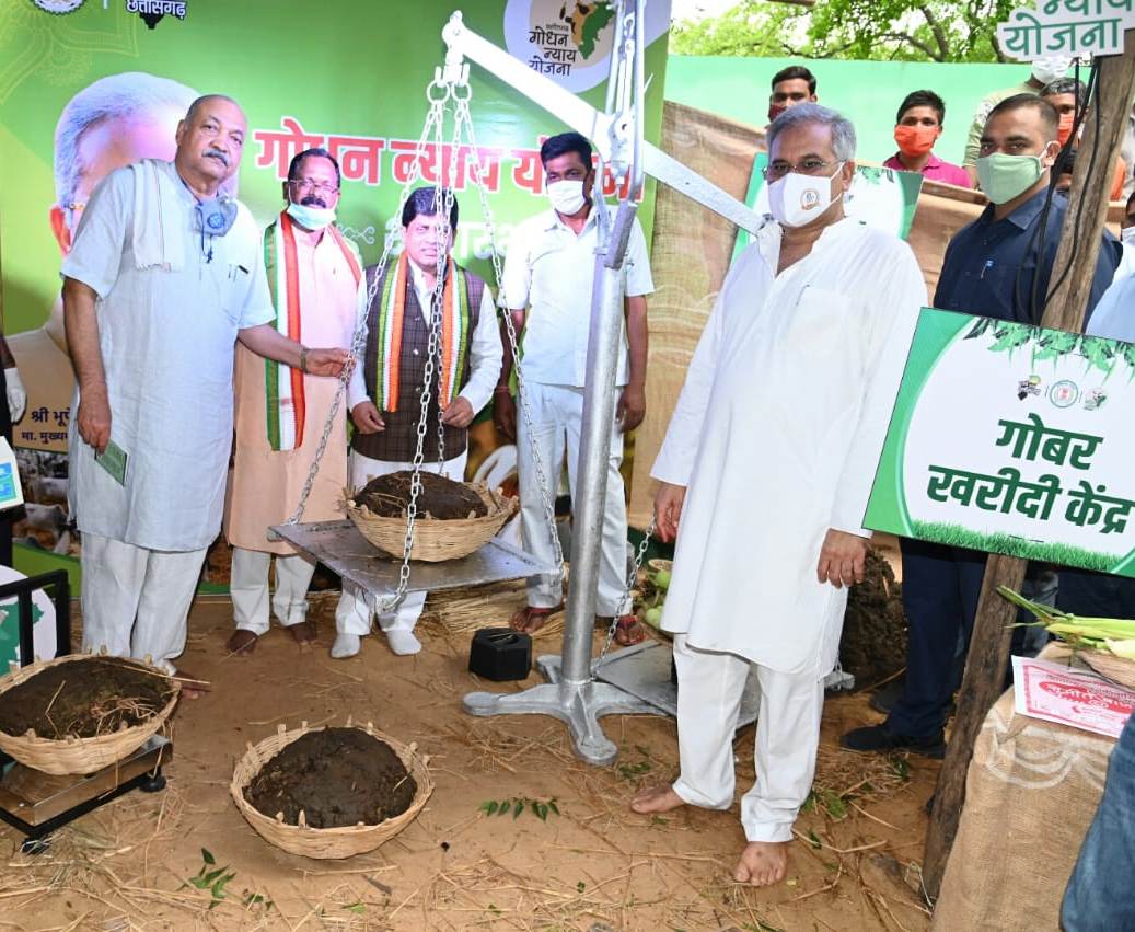 2 thousand quintal dung was purchased on first day in Chhattisgarh