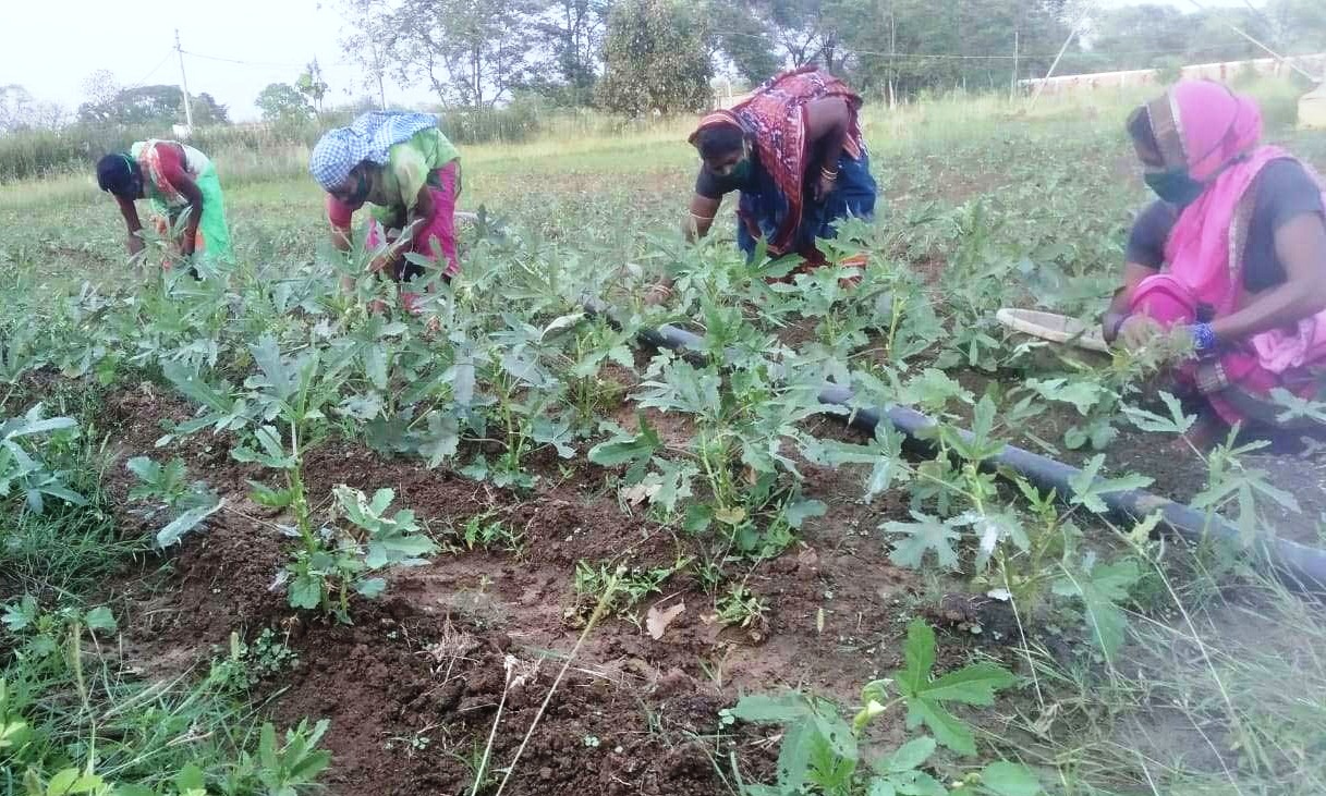 Women get employment in Narwa Garwa Ghurwa Bari in Raipur