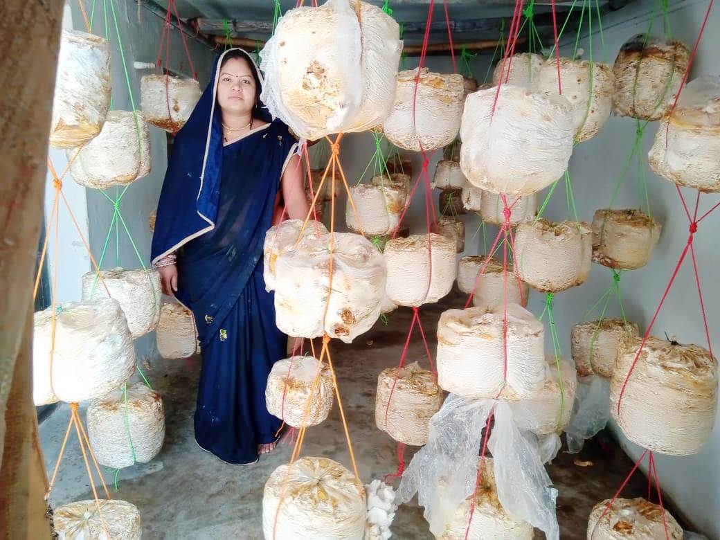 ladies of  bemetra earning by selling mushroom