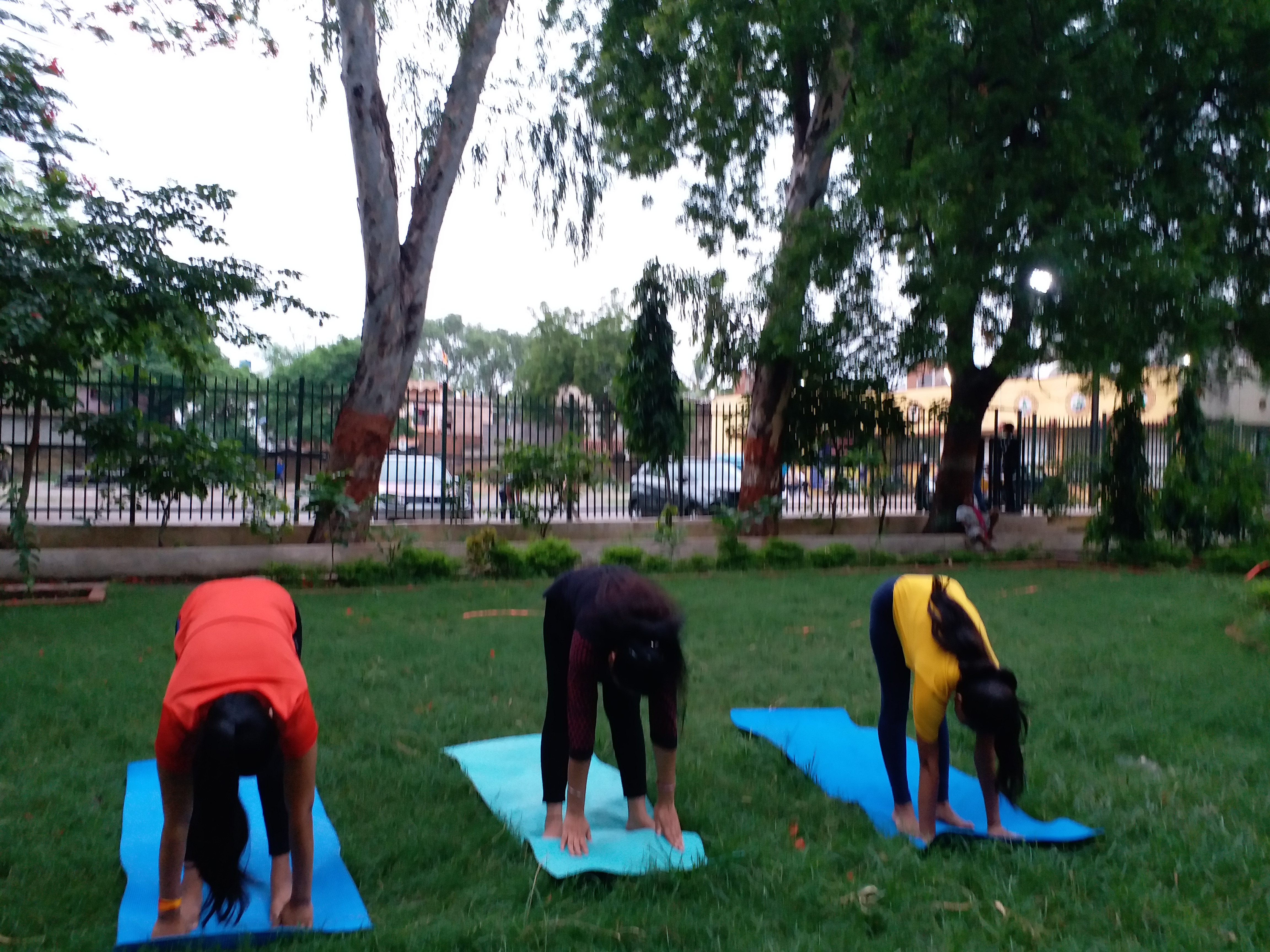 INTERNATIONAL YOGA DAY 2020