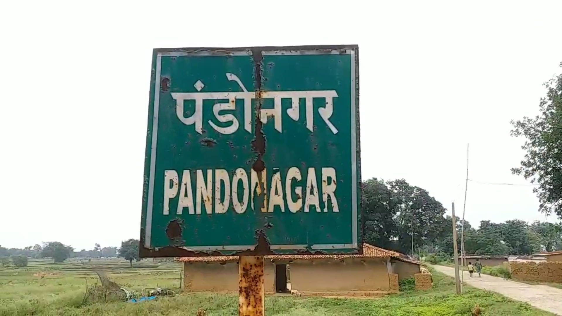 Pando Nagar
