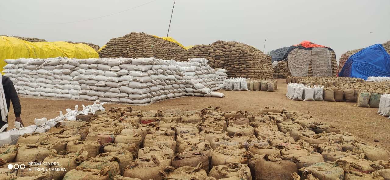 Purchase more than 17 lakh quintals of paddy from 3 thousand farmers  in sarguja