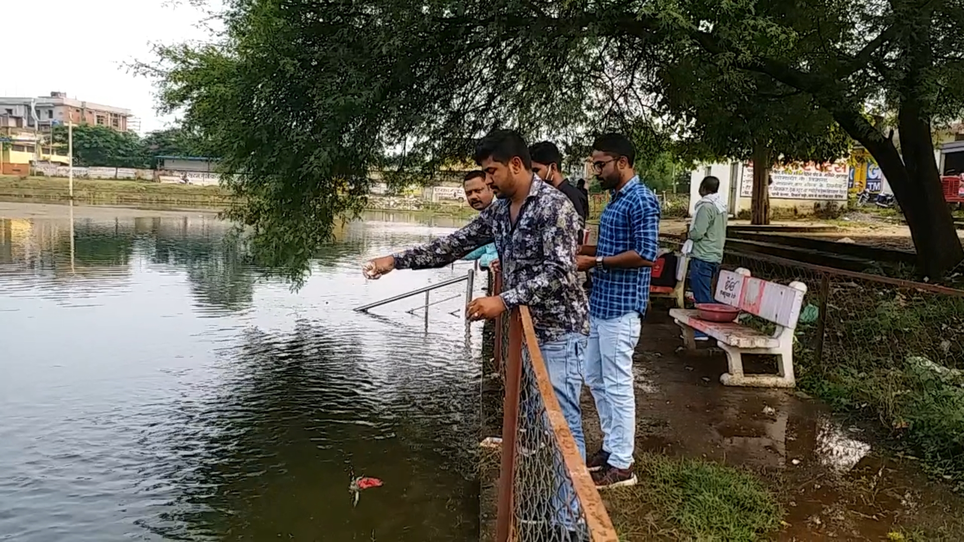 beautification on dulhi pond