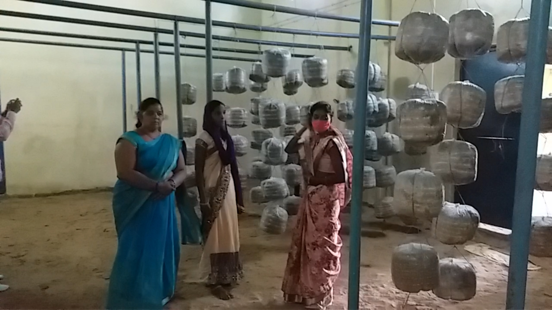 surajpur mushroom cultivation