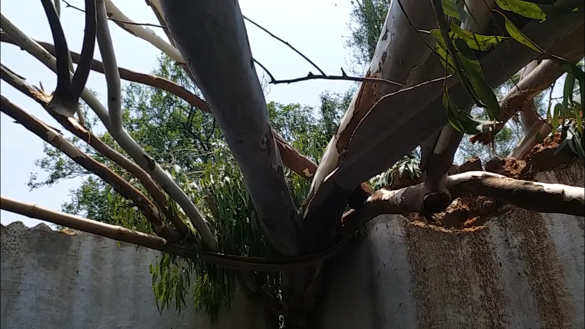 Many homes destroyed in Surajpur due to storm and rain