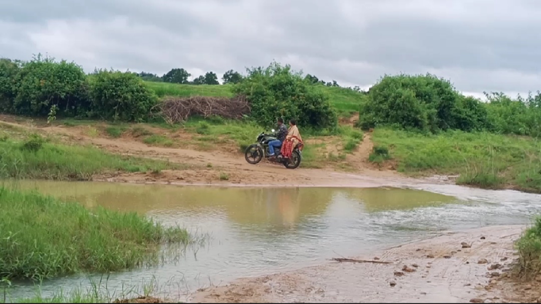 villagers crossing river-drain due to lack of bridge in pratappur block of surajpur district