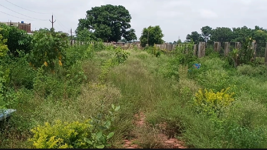 pathetic condition of Pratappur floral garden