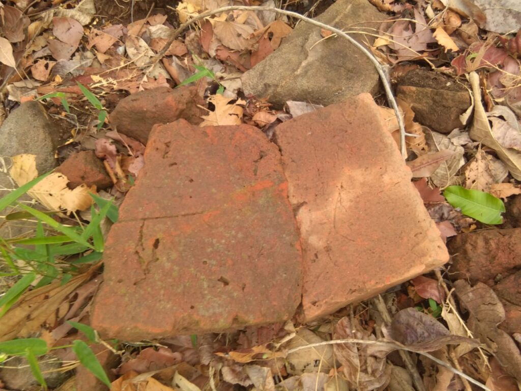 Ancient fort of King Balamdev found in Tamor Range in surajpur