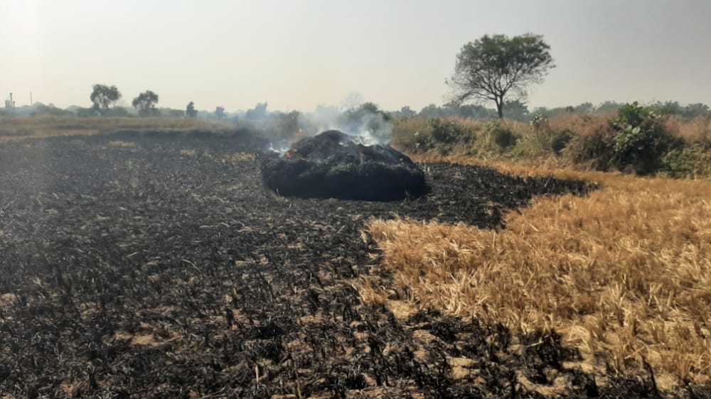 Farmer crop burn in Baloda of Janjgir
