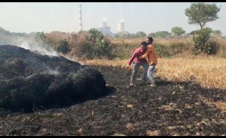 Paddy crop catches fire in Chhattisgarh