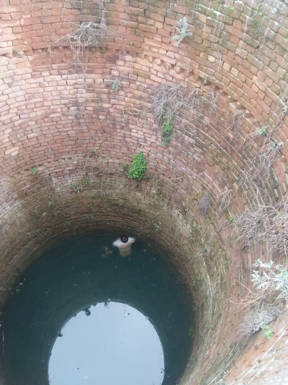 Farmer suicides in Ranchi