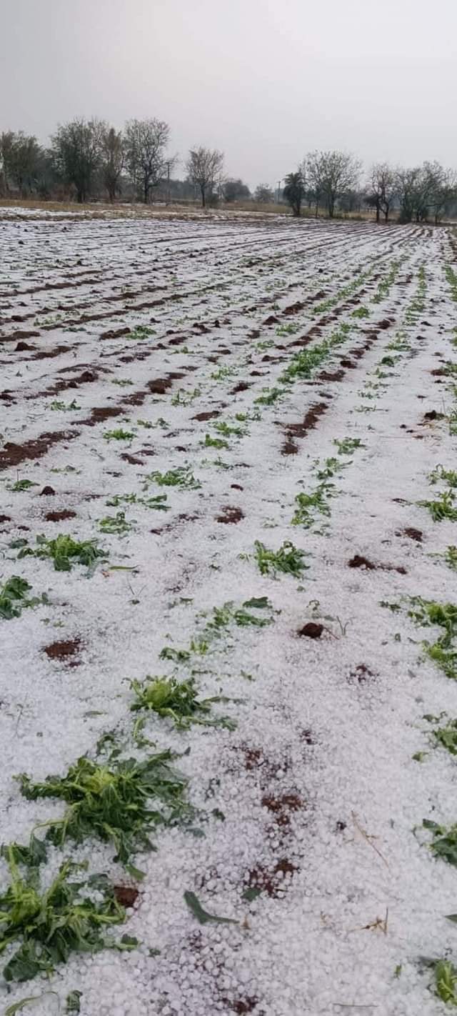 Hailstorm in Rajasthan