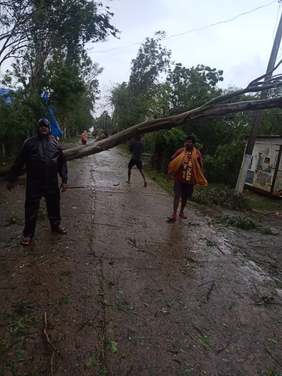 পশ্চিম বংগদিশে অগ্ৰসৰ বুলবুল