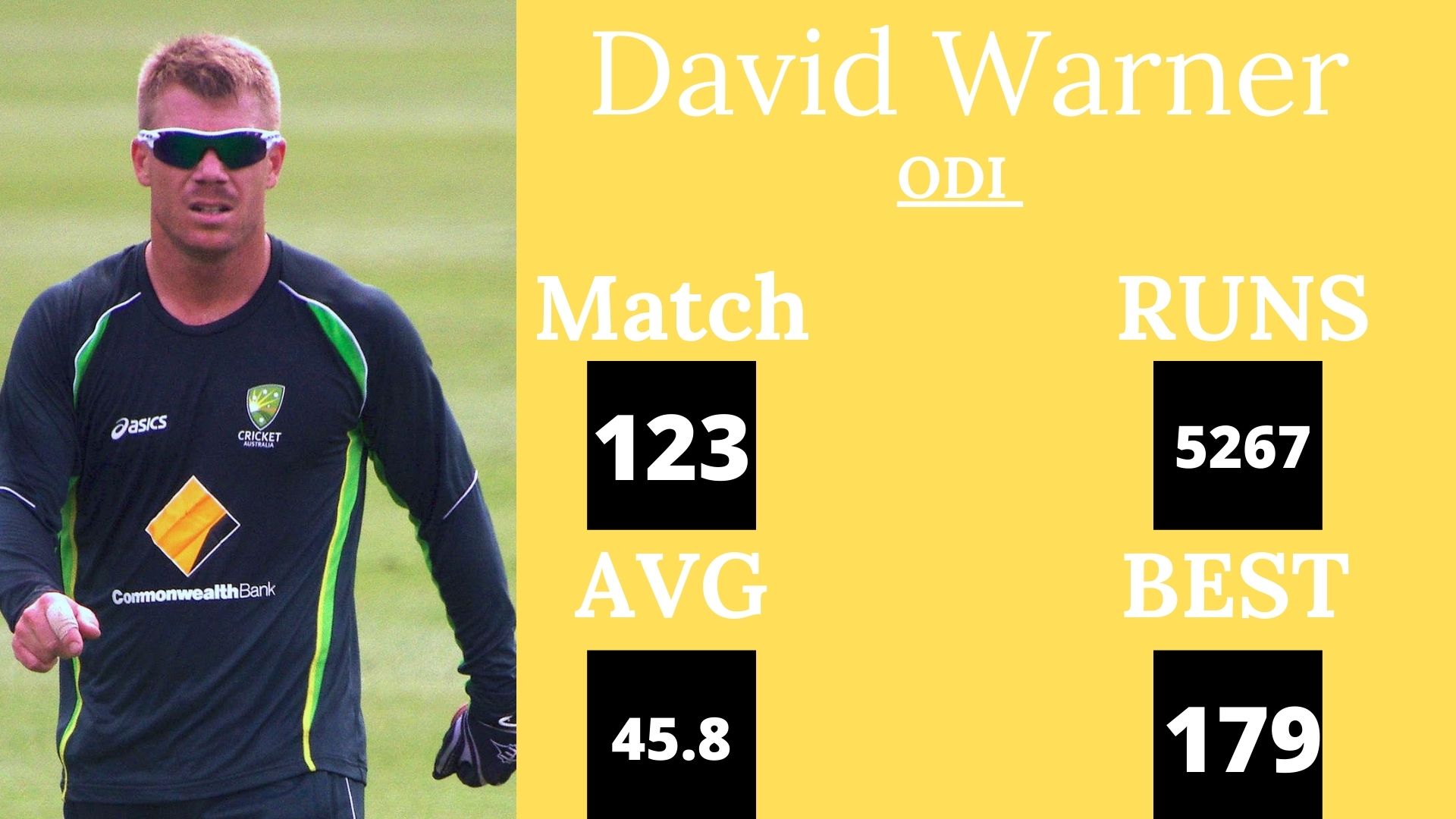 David Warner, Australia,  Sydney, international cricket, COVID-19