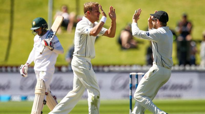 newzeland vs bangladesh