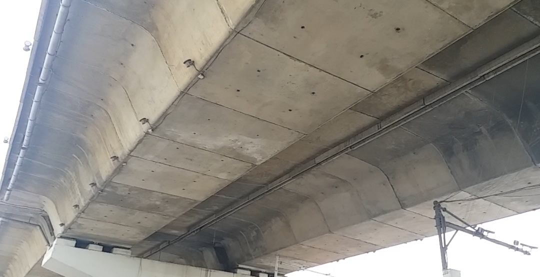 Noida longest elevated road damaged committee constituted to investigate corruption