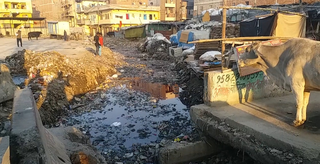 हरौला गांव के बाहर नाले की गंदगी