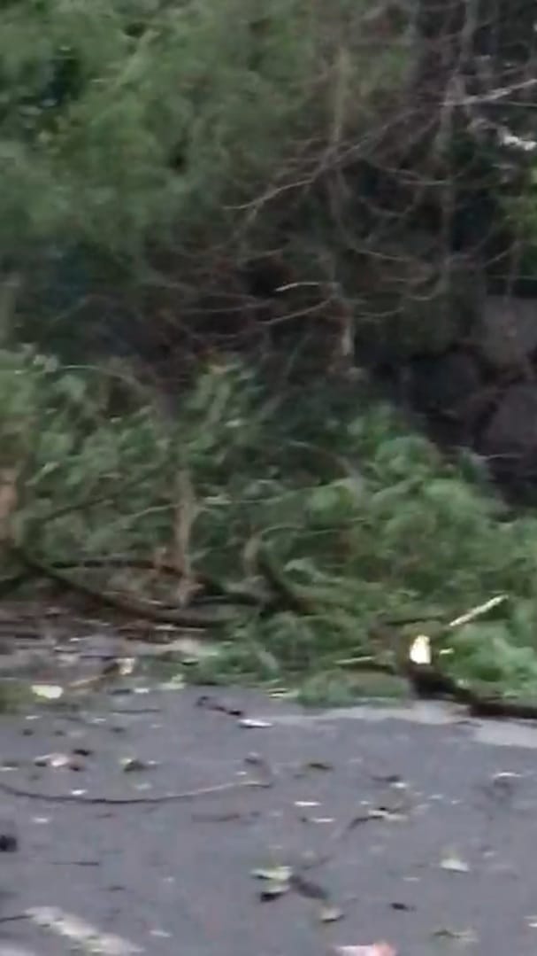 farmers-night-shelter-at-ghazipur-border-uprooted-after-thunderstorm