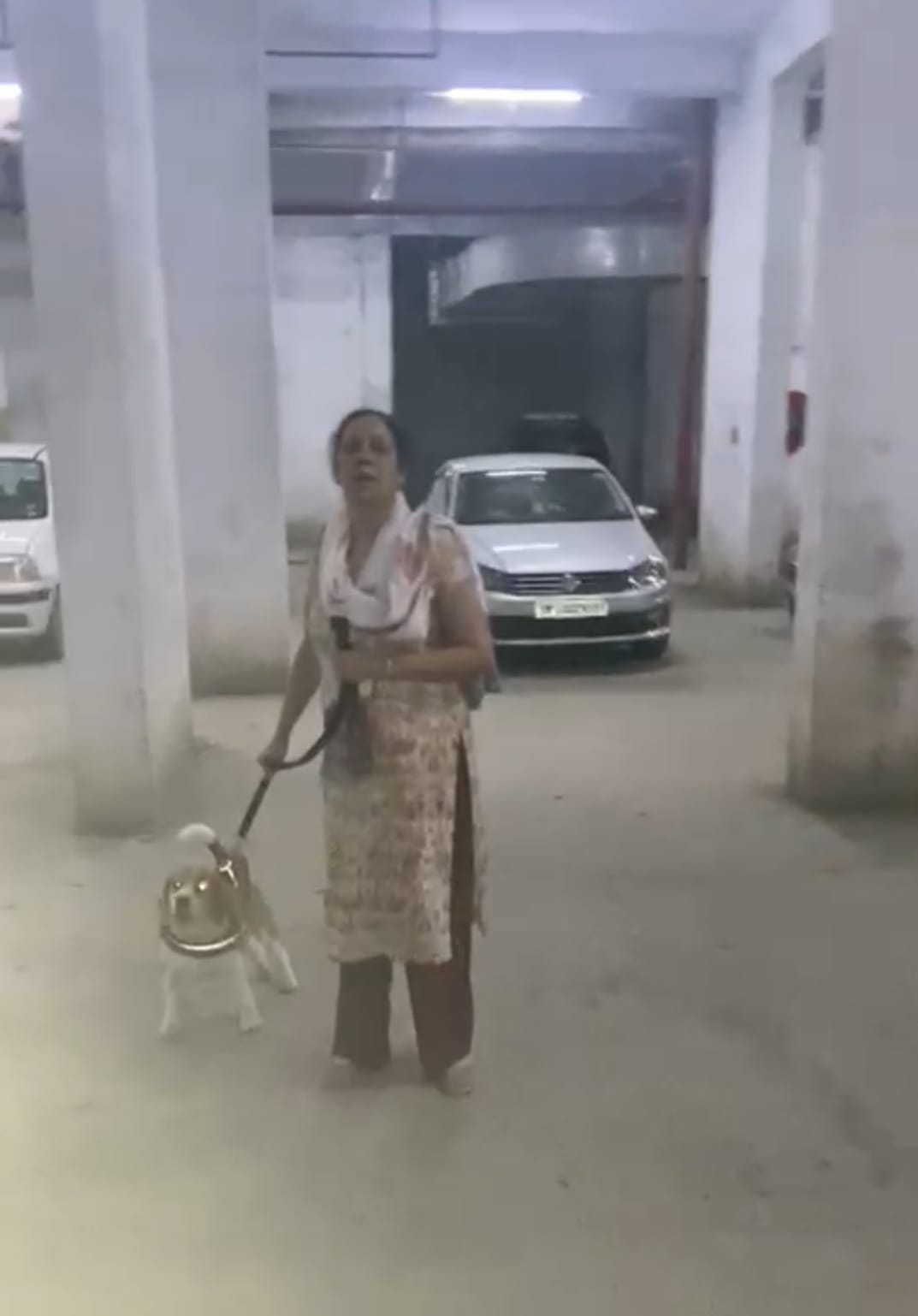 DOG BITES CHILD IN LIFT