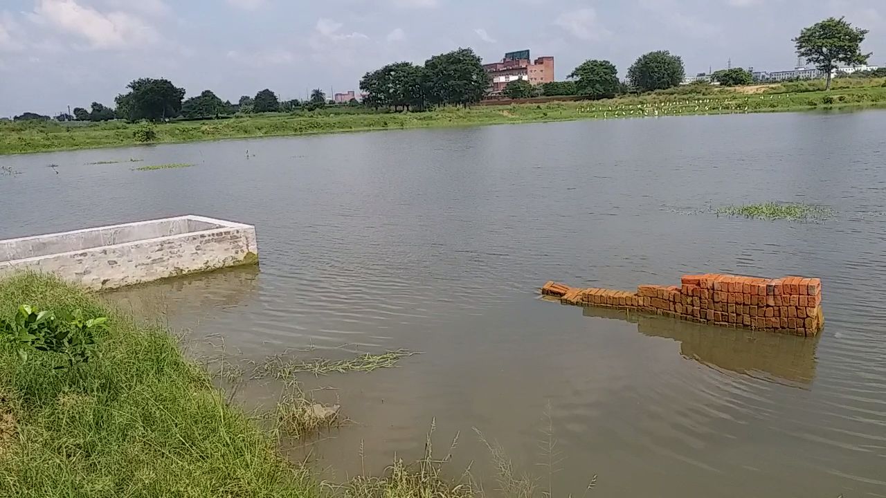 पुनर्जीवित किया गया मोरटा गांव का तालाब