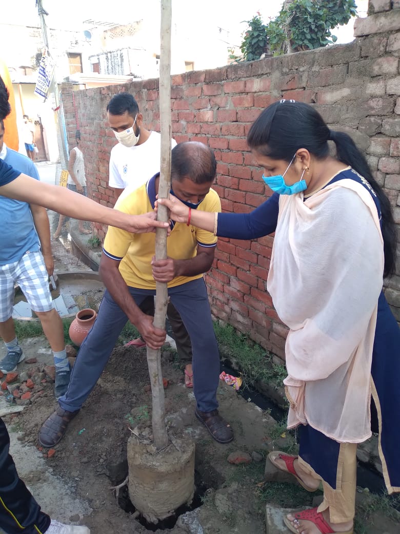 tree plantation on wedding anniversary in modinagar ghaziabad