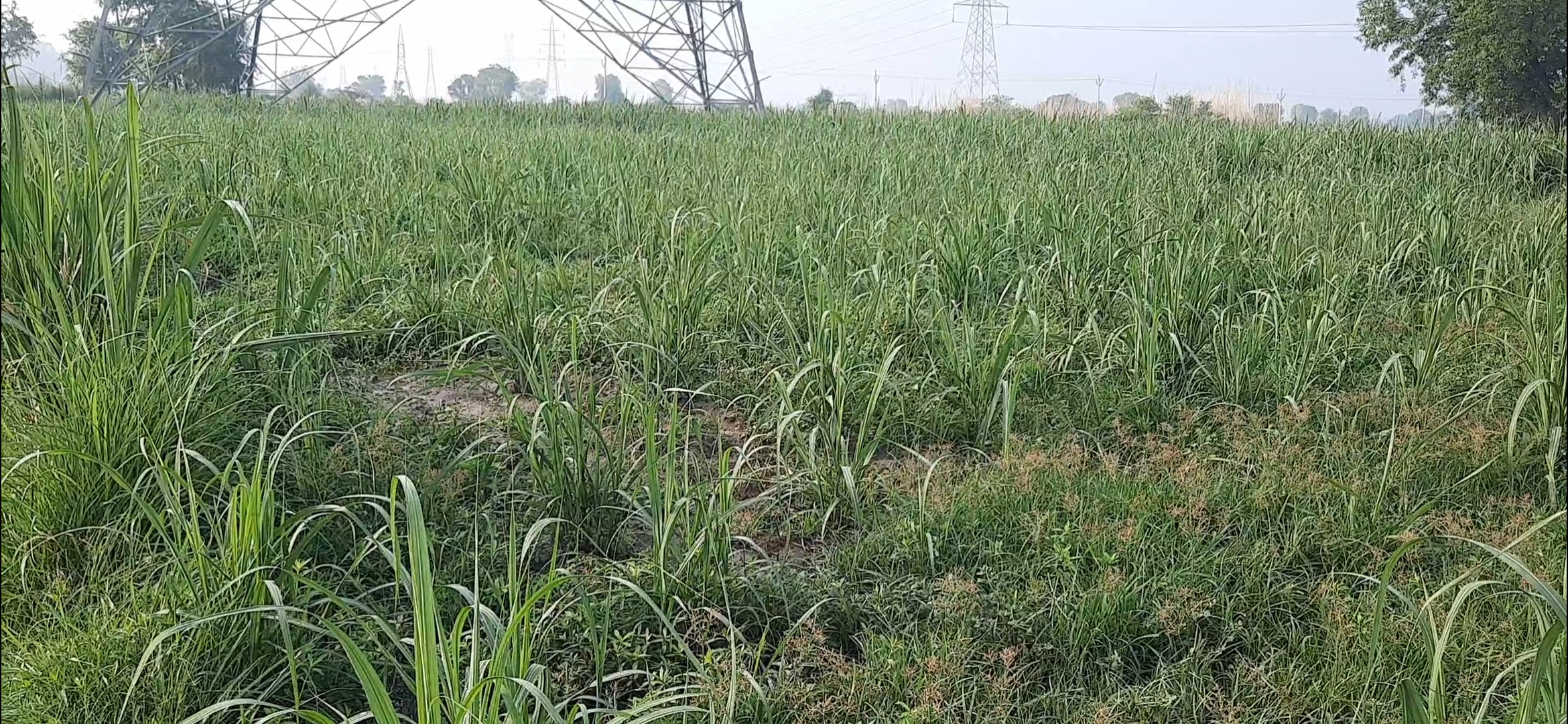 water logging problem in muradnagar of ghaziabad