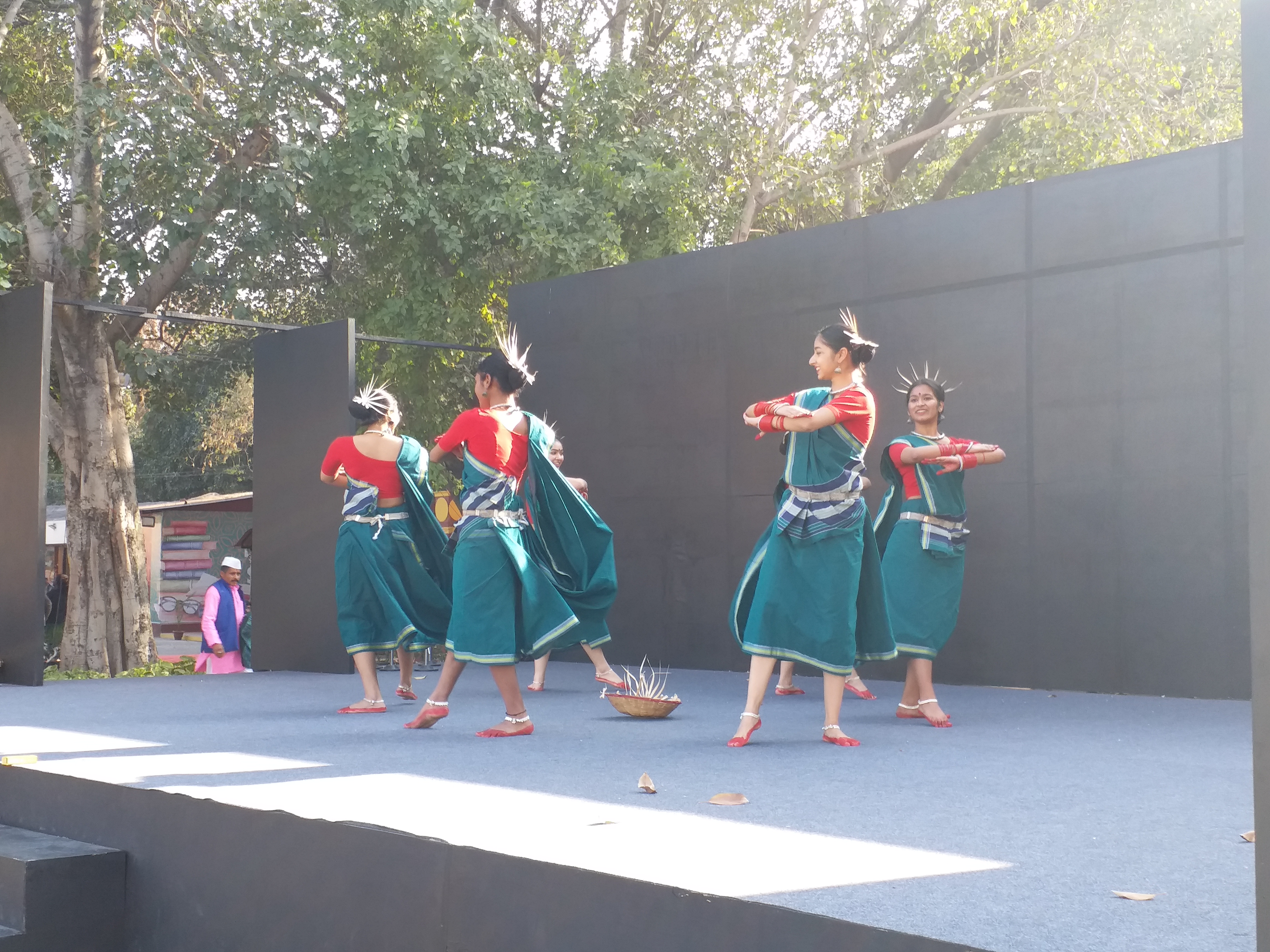 chhattisgarhi suwa dance performed in delhi