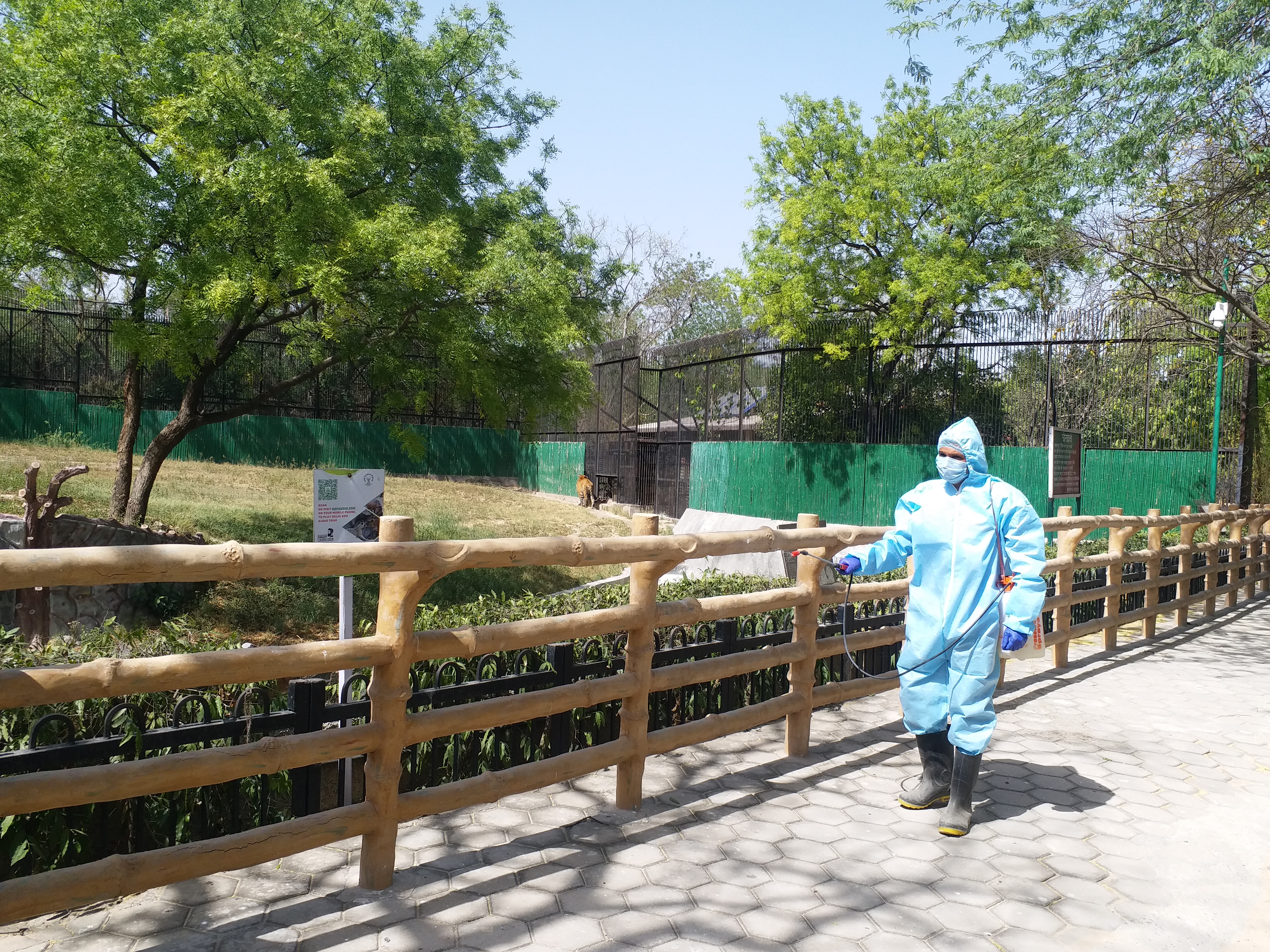 sanitization in delhi zoo