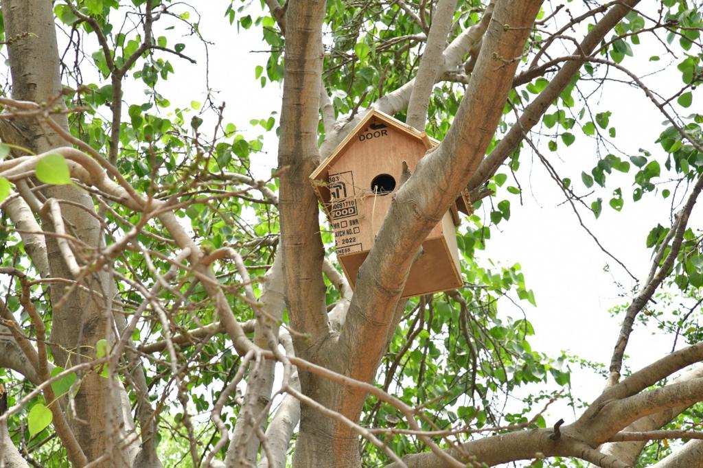 Delhi first sparrow village in Garhi Mandu