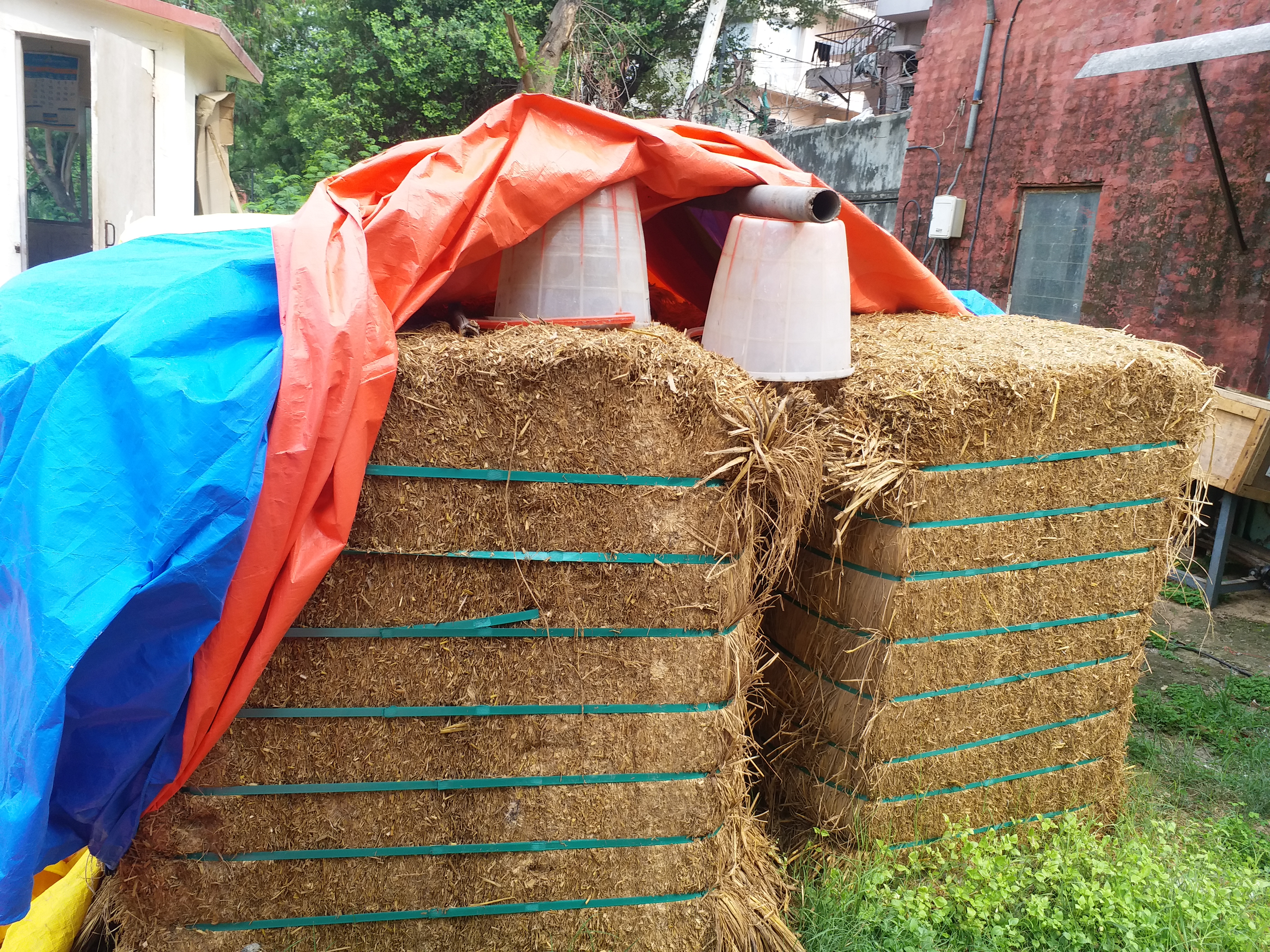 IIT Delhi students are making cups plate by Parali and stop pollution