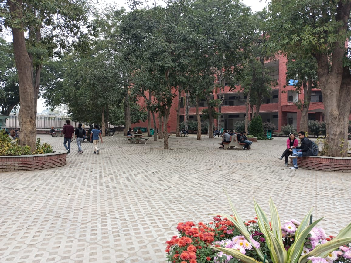 jamia millia university