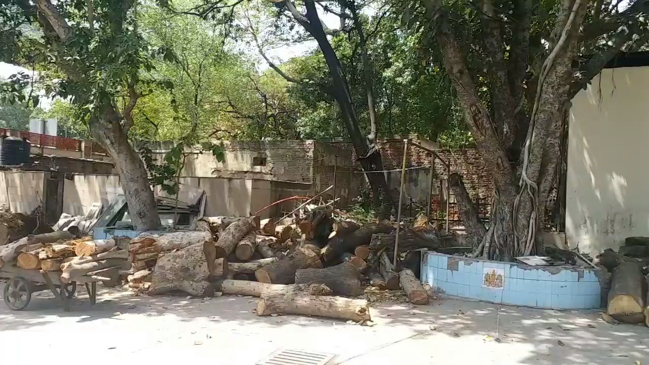 Shortage of woods at cremation grounds