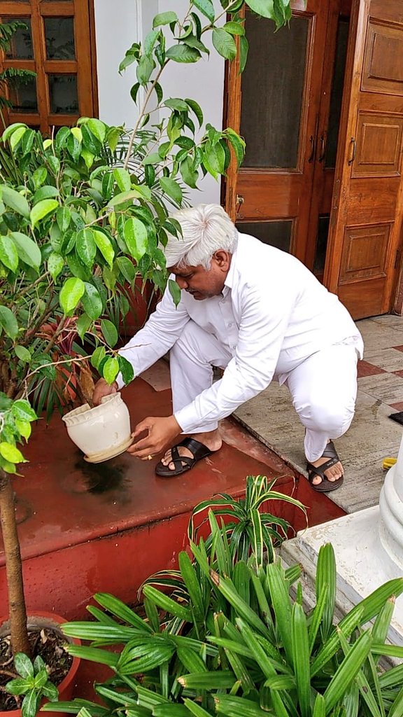 Delhi CM launches dengue, chikungunya prevention campaign