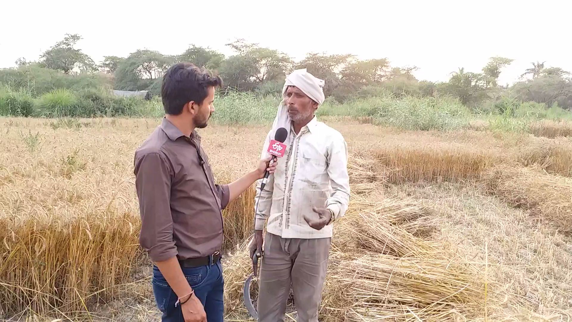 outsider farmers living near by yamuna bank and doing farming poor condition