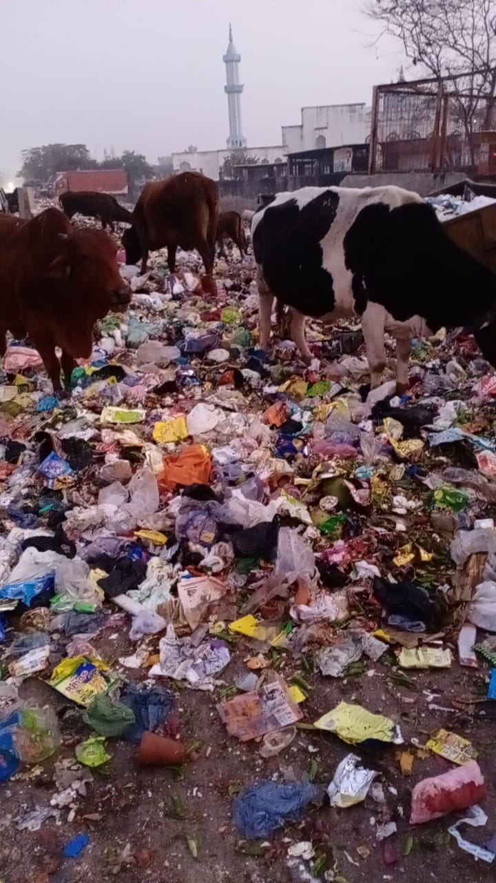 former-municipal-councilor-candidate-shabina-khan-opened-a-front-regarding-heap-of-garbage-near-shaheen-bagh-masjid