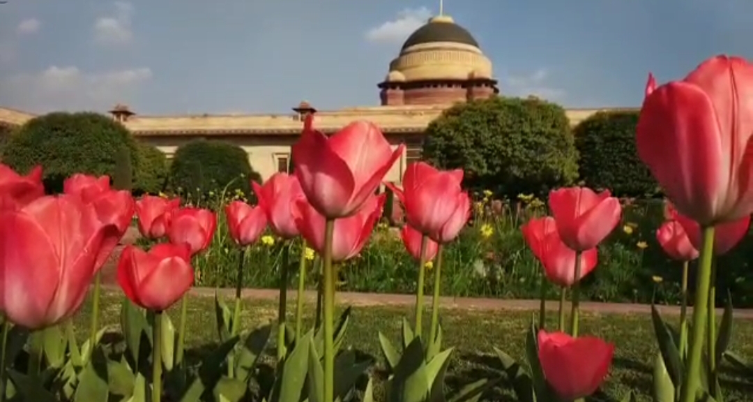 president announces opening slot of mughal garden for general public