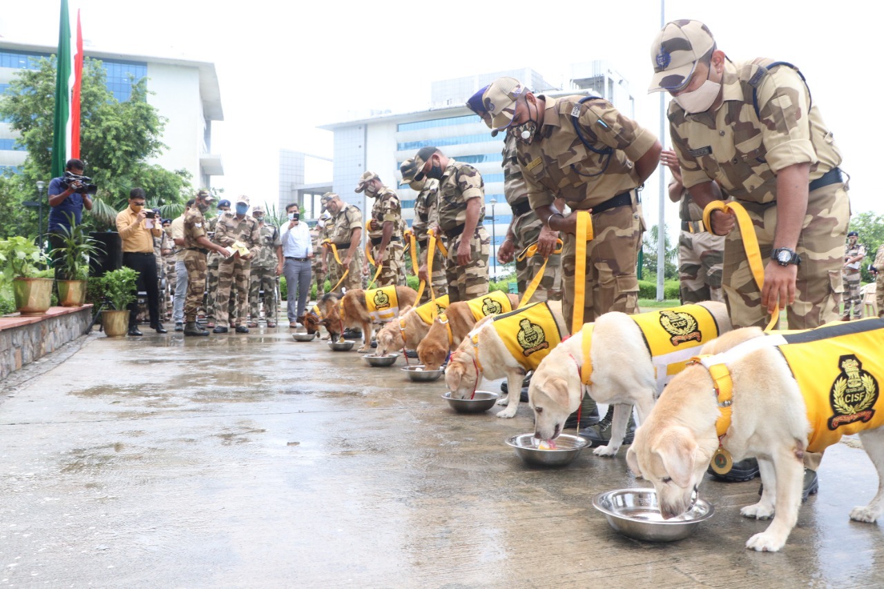 Retirement Ceremony of 7 Sniffer Dogs of CISF delhi