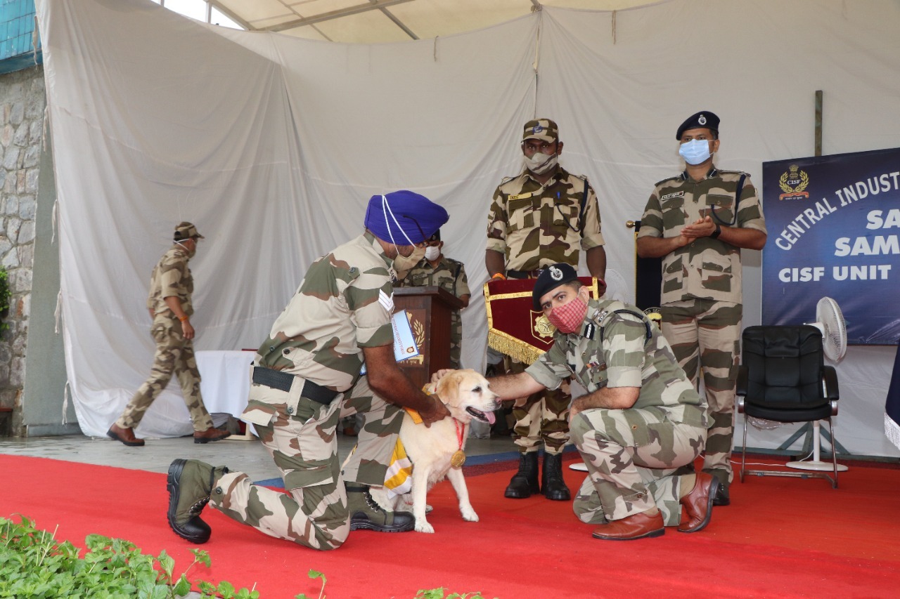 Retirement Ceremony of 7 Sniffer Dogs of CISF delhi