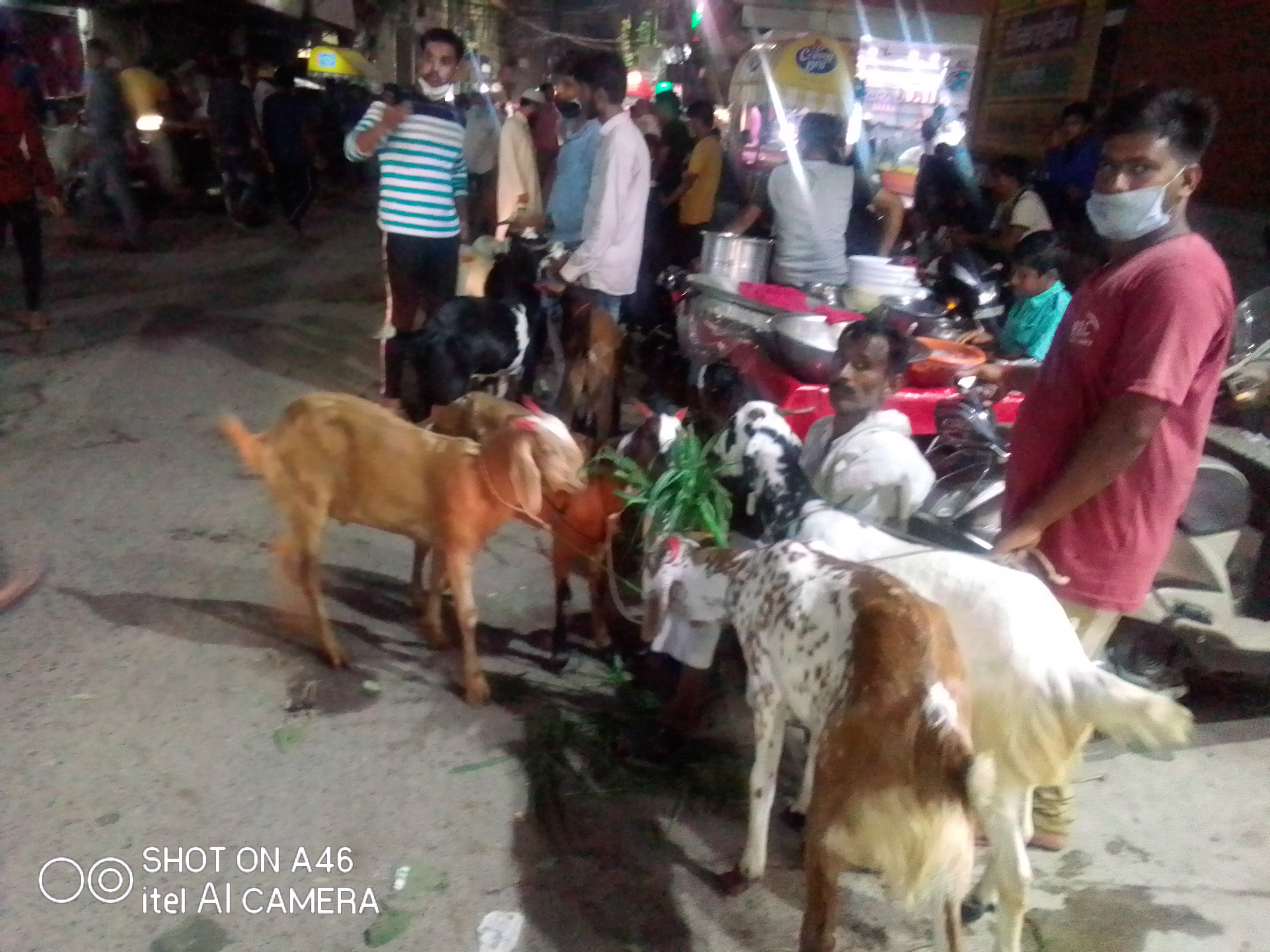 demand for goats in shaheen bagh is low, yet the rate is high